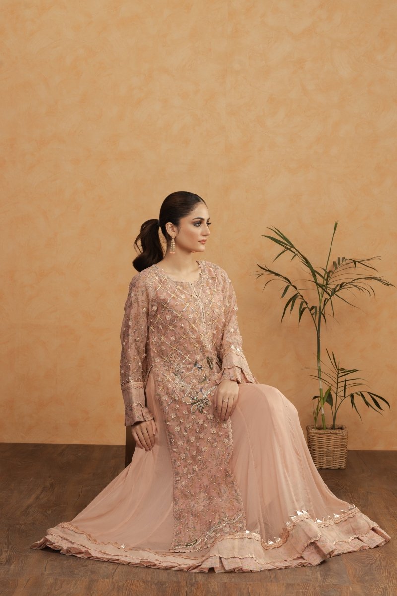 Peach Elegance – 3PC Stitched Khaddi Net Maxi Dress